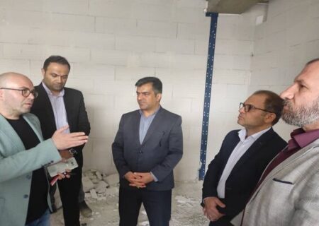 ببینید| بازدید مدیرکل و معاون مسکن و ساختمان راه و شهرسازی استان تهران از پروژه های عدل آباد و واوان اسلامشهر