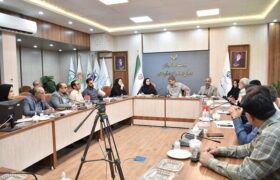 ببینید | چهارمین جلسه کارشناسی کارگروه امور زیربنایی استان سمنان