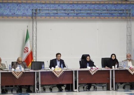 برگزاری نشست تخصصی «تبیین رویکردها و تشریح تغییرات ویرایش پنجم آئین‌نامه طراحی ساختمان ها در برابر زلزله»