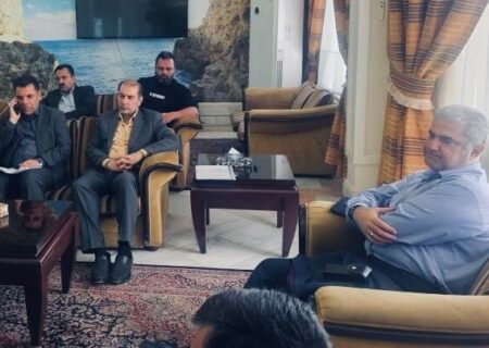 دیدار مدیرعامل سازمان ملی زمین و مسکن با نمایندگان انبوه‌سازان پروژه‌های مسکن بیرجند با هدف بررسی مشکلات