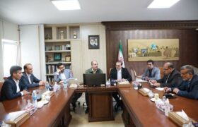 تعریف پروژه «اقدام مشترک» برای تسریع روند بازآفرینی در شهرضا
