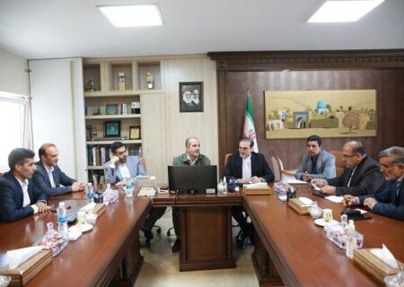 تعریف پروژه «اقدام مشترک» برای تسریع روند بازآفرینی در شهرضا