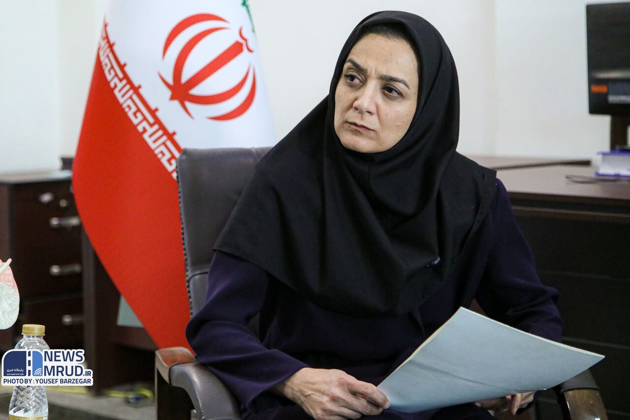 حل مسئله فرونشست نیازمند تعیین متولی در سطح ملی است